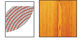 Cutting from the Heart