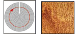 Rotary Peeling